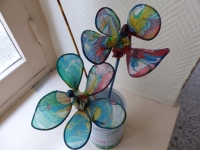2 fleurs sur la fenêtre