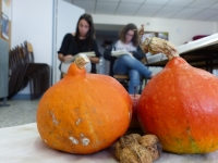 octobre - étude nature morte