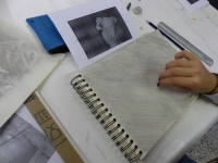 novembre - série des félins