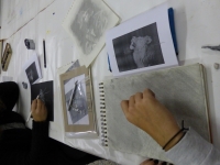 novembre - série des félins