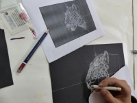 novembre - série des félins