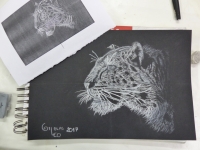 novembre - série des félins suite et fin