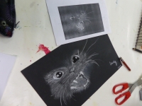 novembre - série des félins suite et fin